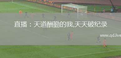 直播：天道酬勤的我,天天破纪录