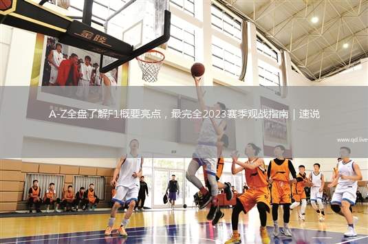 A-Z全盘了解F1概要亮点，最完全2023赛季观战指南｜速说